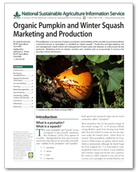 Organic Pumpkin and Winter Squash Marketing and Production cover