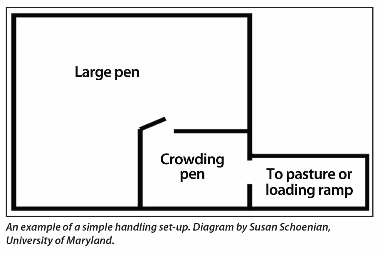 An example of a simple handling set-up