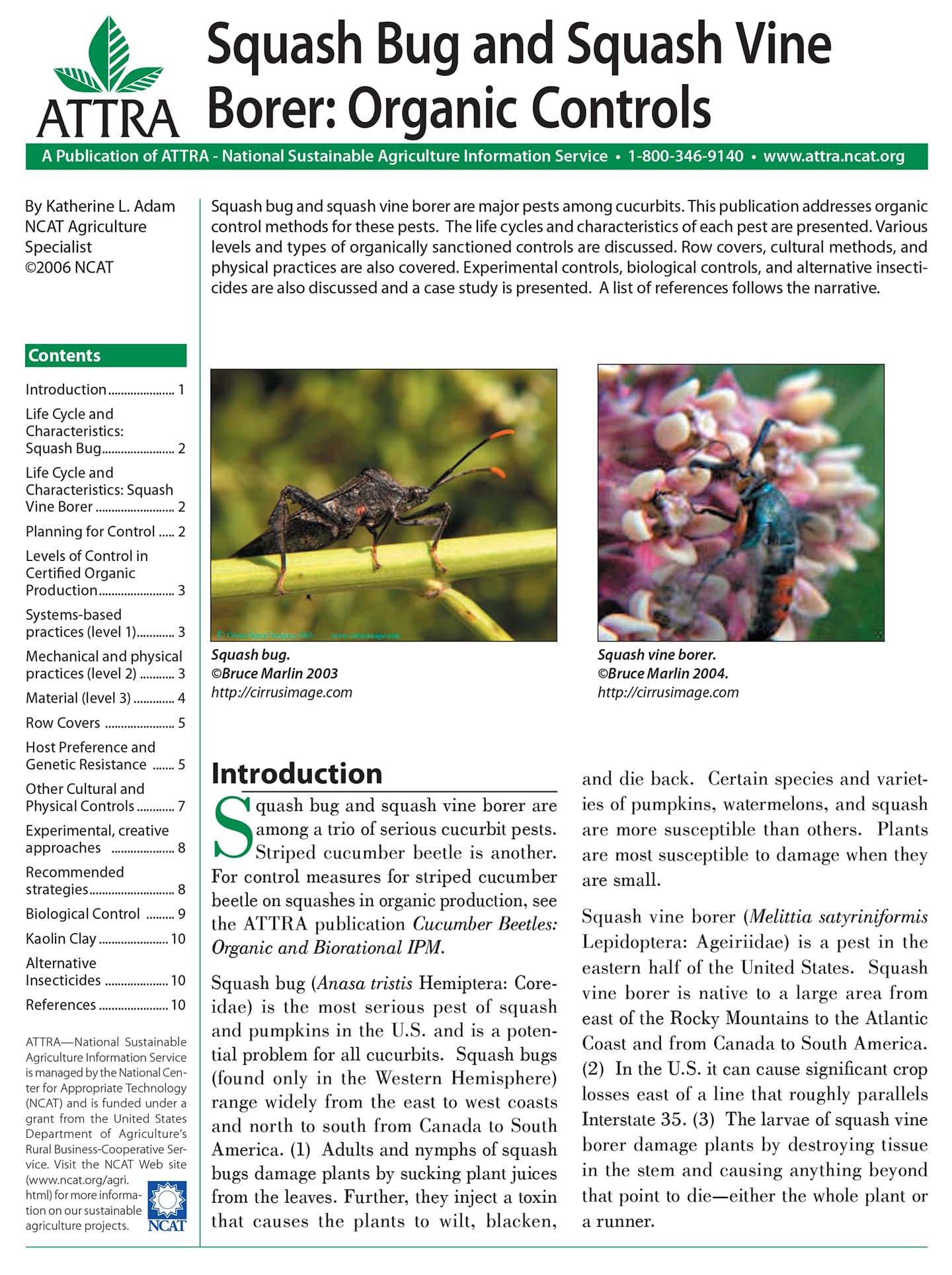 Squash Bug and Squash Vine Borer: Organic Controls cover