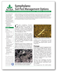 Symphylans: Soil Pest Management Options cover