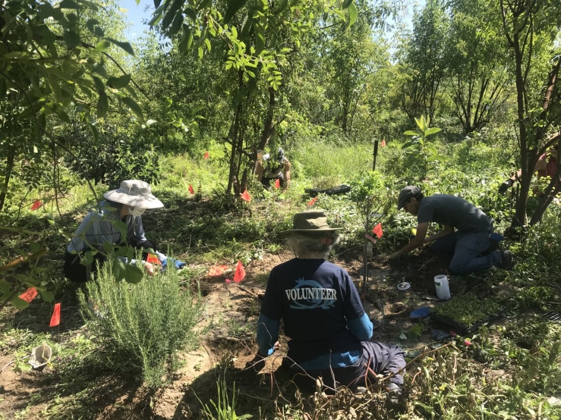 Volunteers enjoying a day in the Coastal Roots Farm Food Forest.