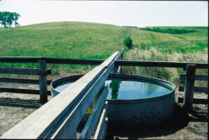 livestock waterer