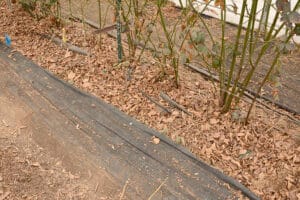 weed barrier