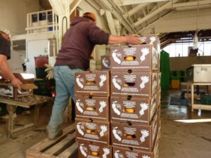 Un hombre cargando cajas de productos agrícolas en un contenedor.