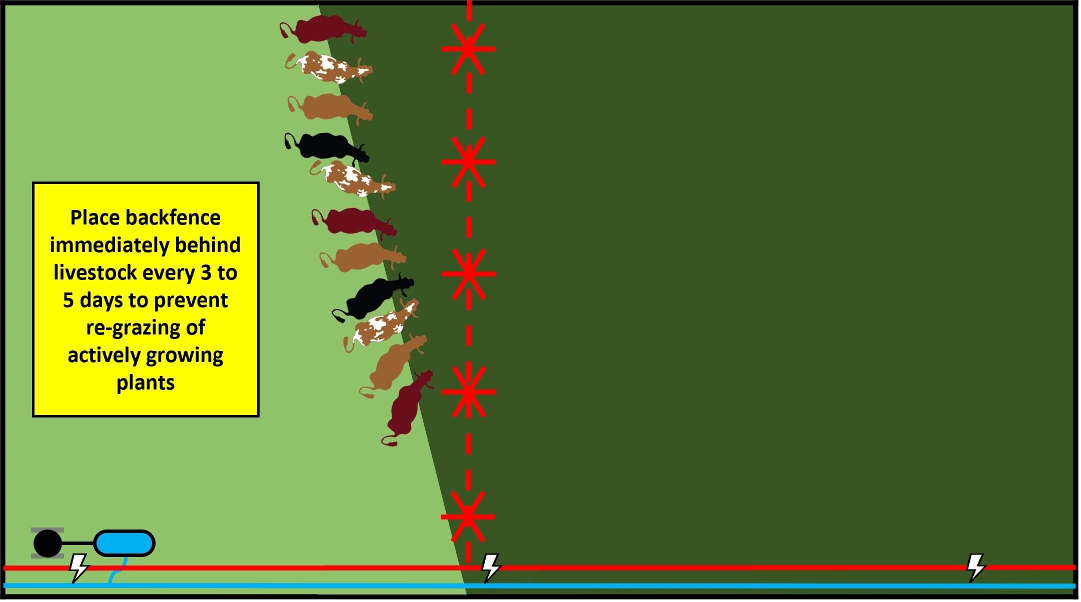 Tumble Wheel line
