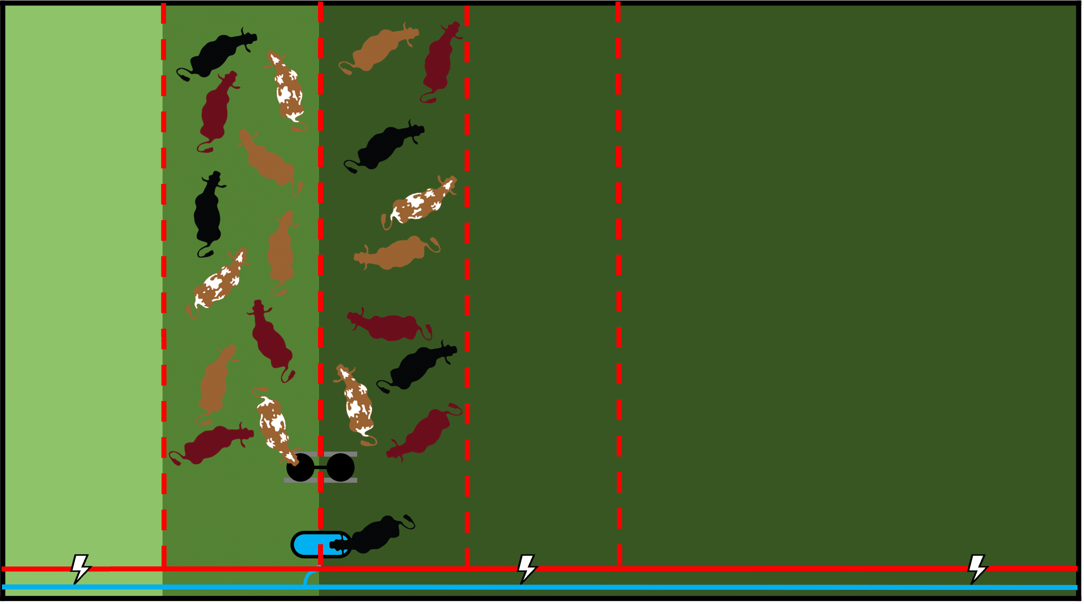 Leader-Follower Grazing