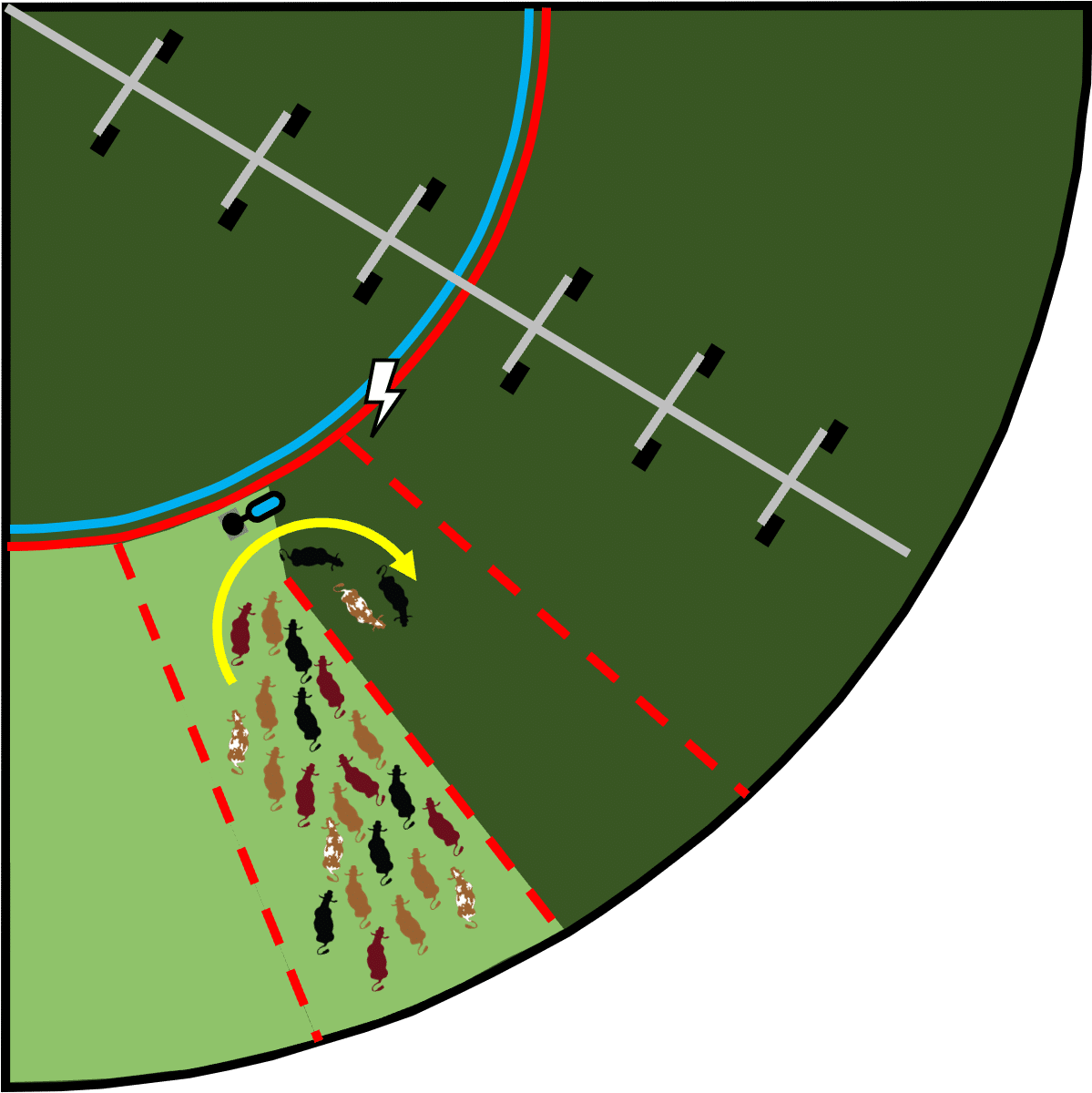 Polywire fence