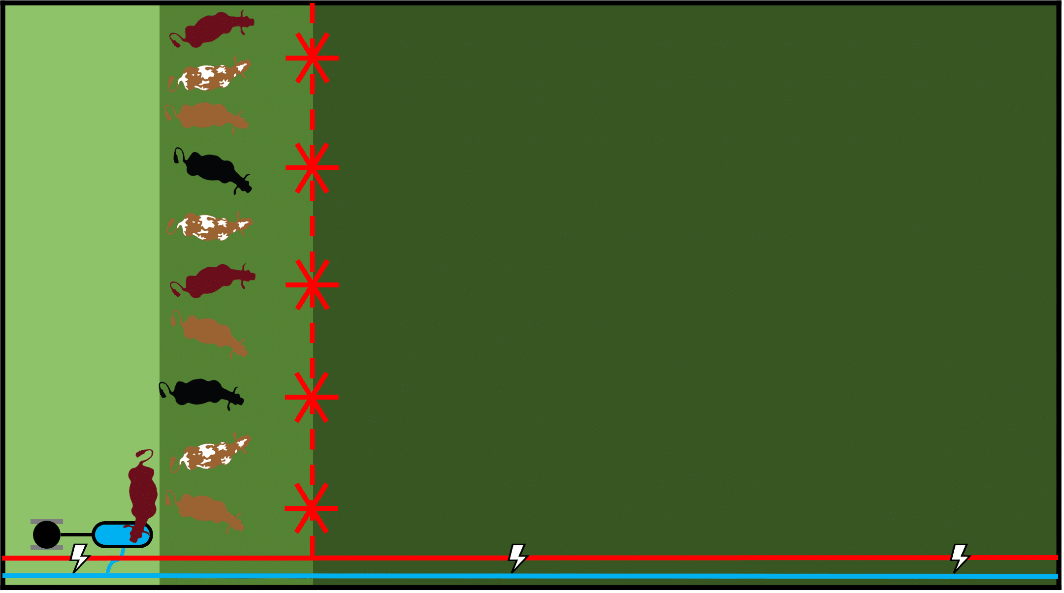 Grazing for Higher Intake – Tumble Wheel Method