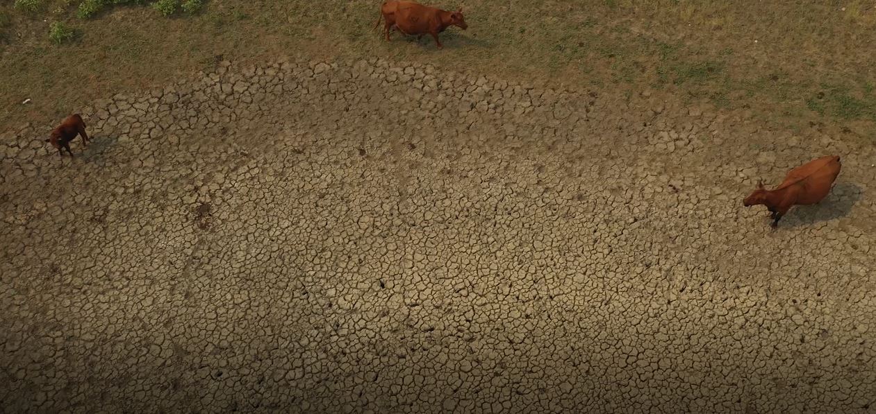 Drought soil
