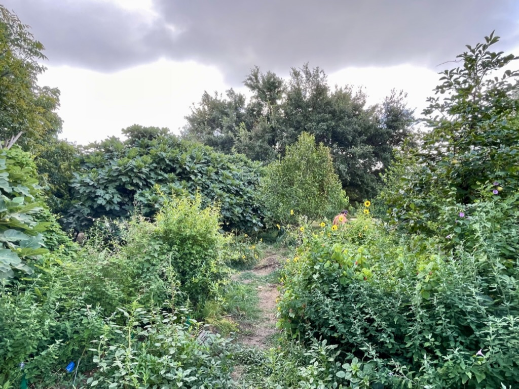 The Festival Beach Food Forest in Austin, Texas