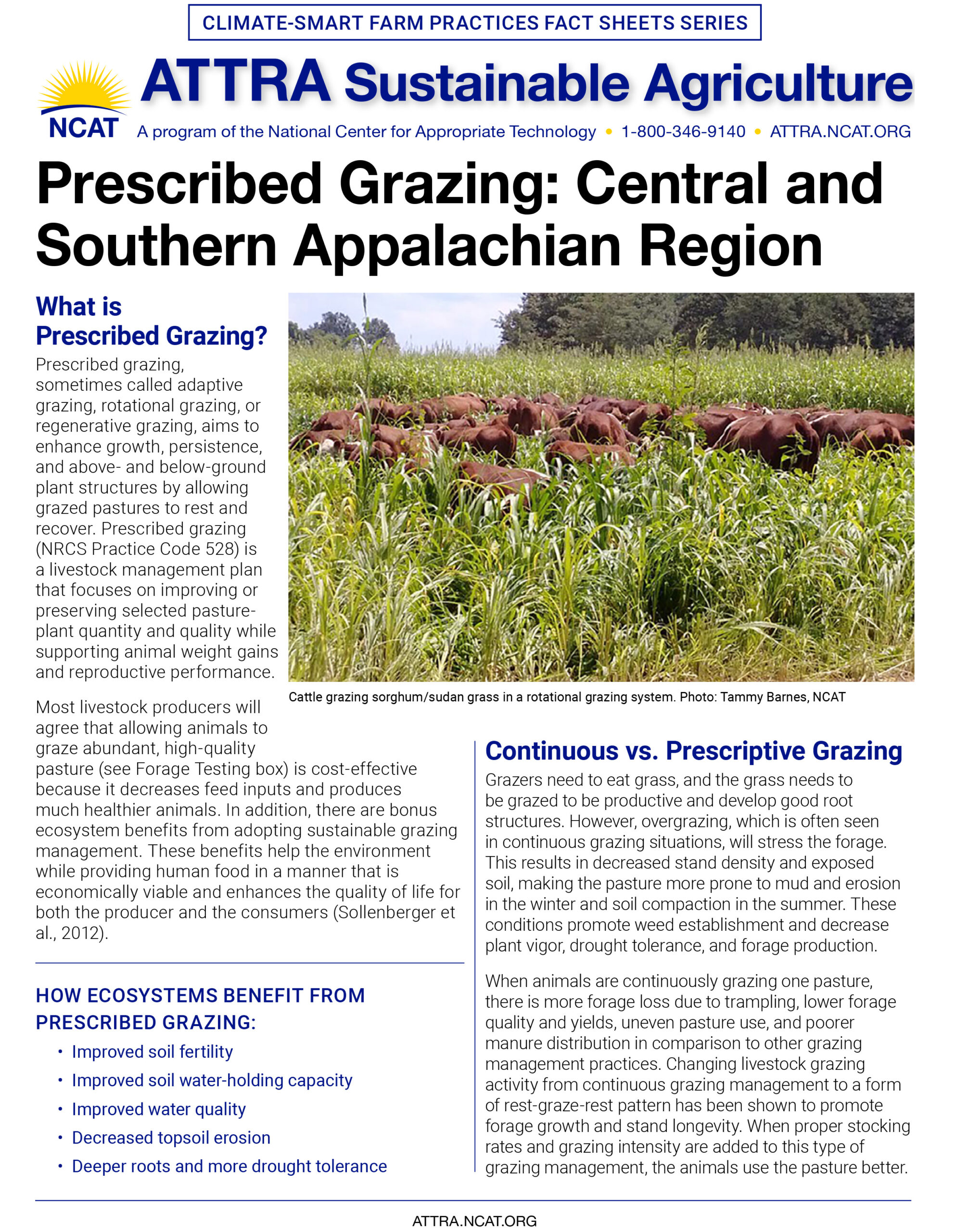 Prescribed Grazing: Central and Southern Appalachian Region cover