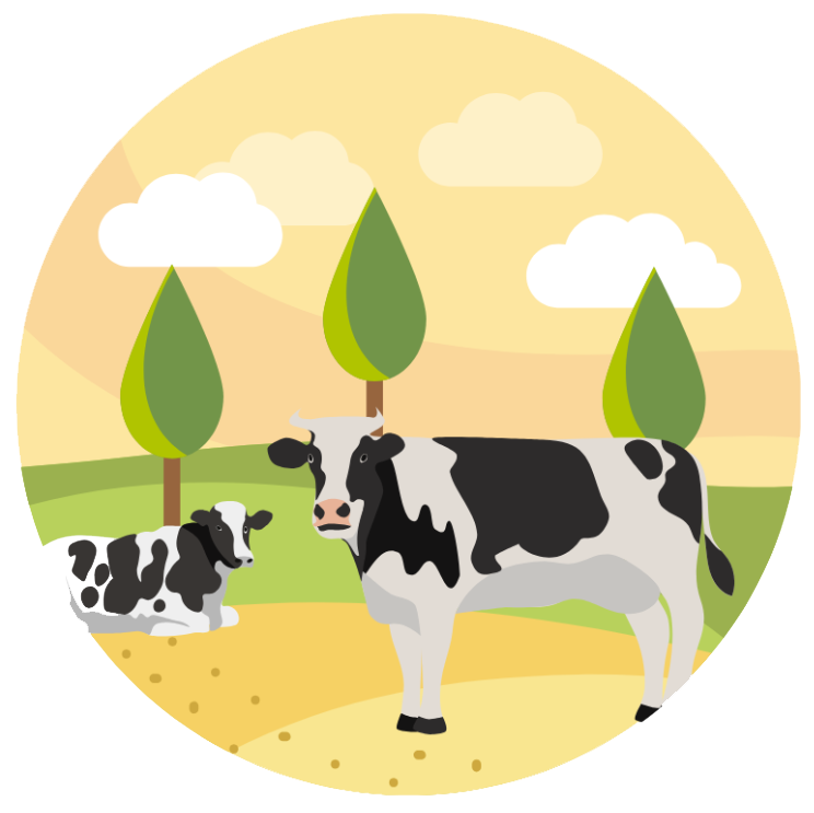 graphic representing silvopasture