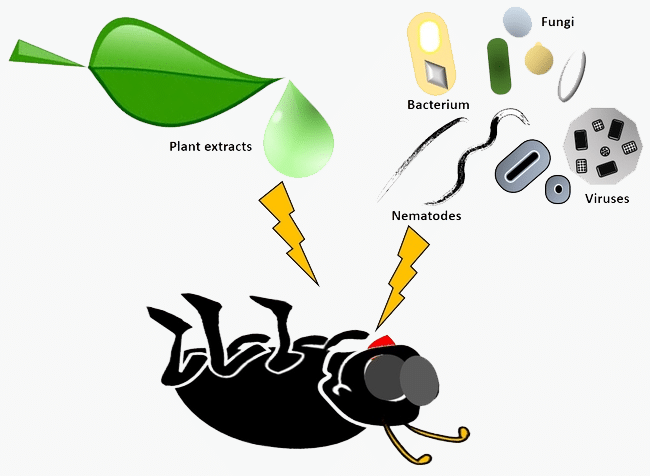illustration of how biorational pest control works
