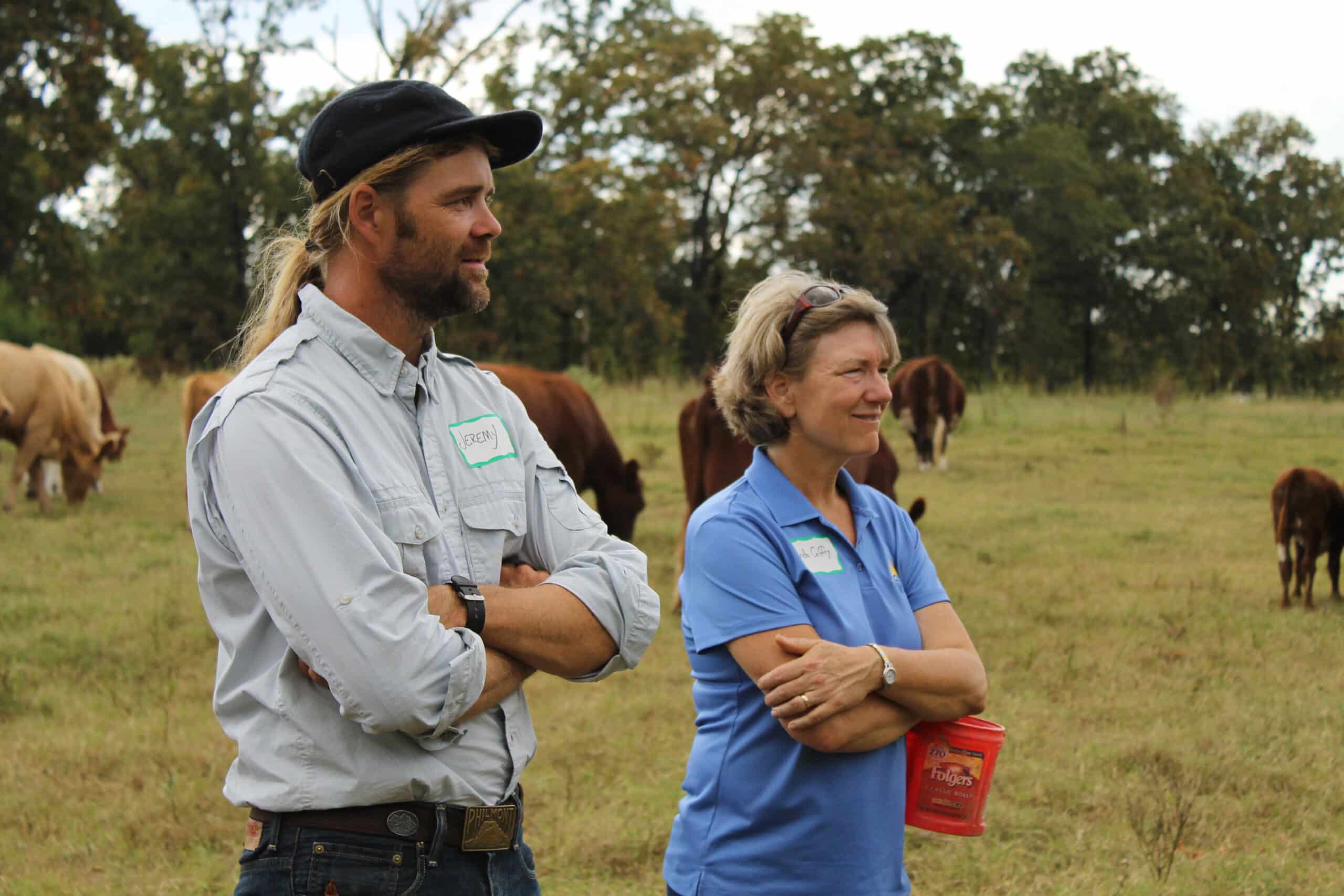people observing in a field with cattle in background