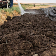 Pile of biochar being sprayed with water