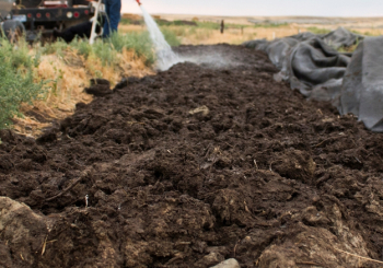 Pile of biochar being sprayed with water