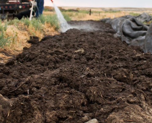Pile of biochar being sprayed with water