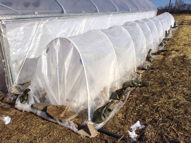 Plastic covered low tunnel