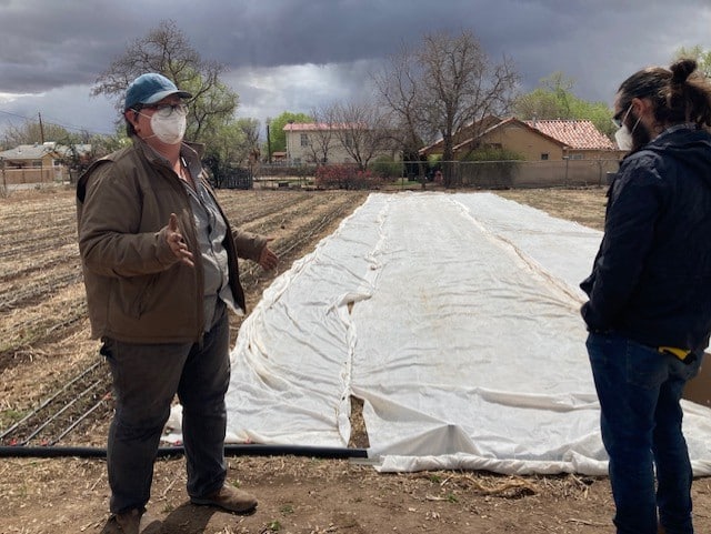 Plastic sheet laid over planted field bed