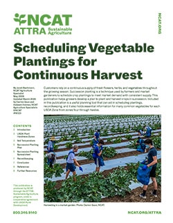 Scheduling Vegetable Plantings for Continuous Harvest cover