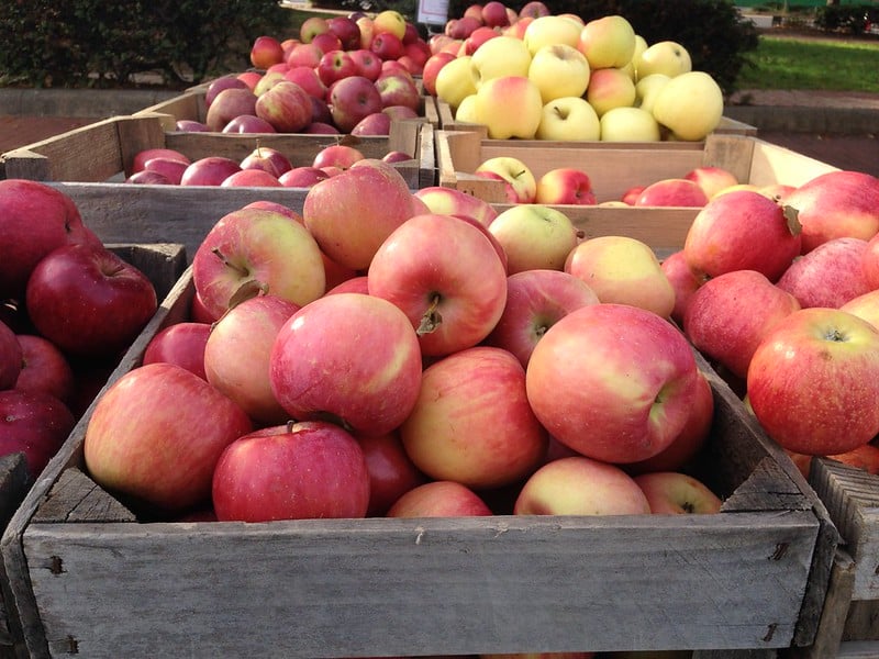 bins of different types of apples