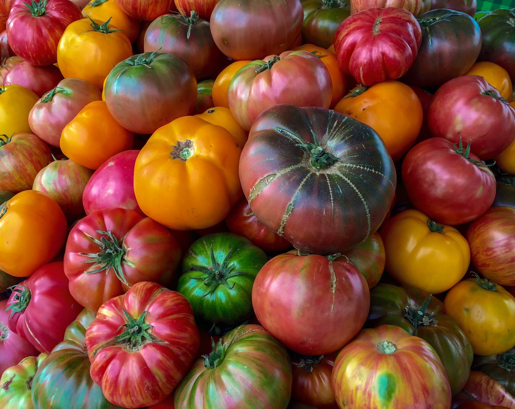 stack of different-colored tomatoes