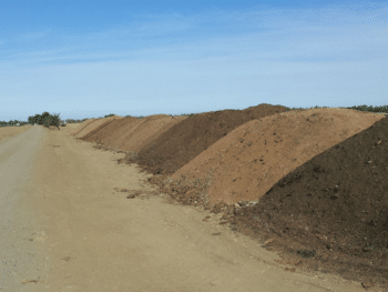 Compost de arena para pavos