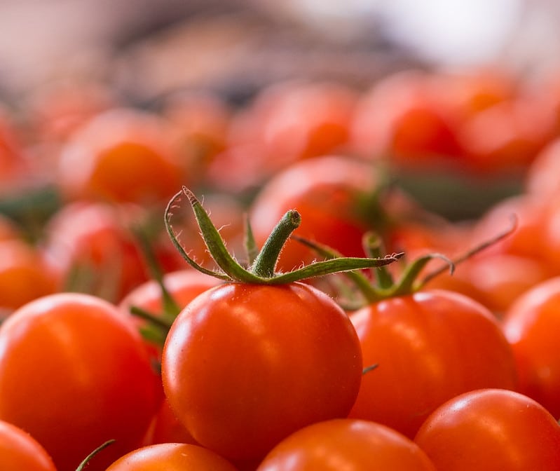 red cherry tomatoes against blurred background