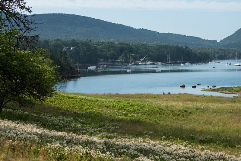 meadow, water, and treed shoreline and mountains in background