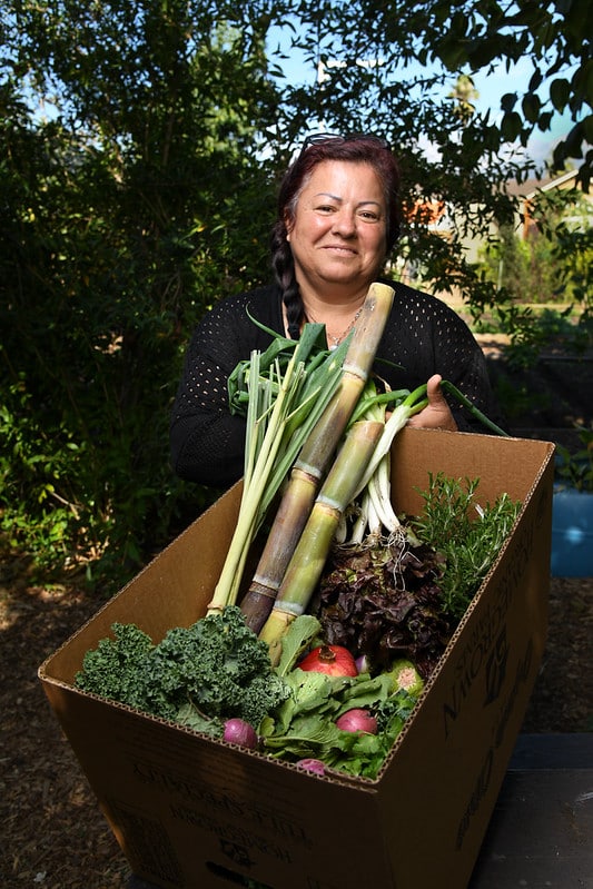 A person holds a box of mixed vegetables in front of foliage