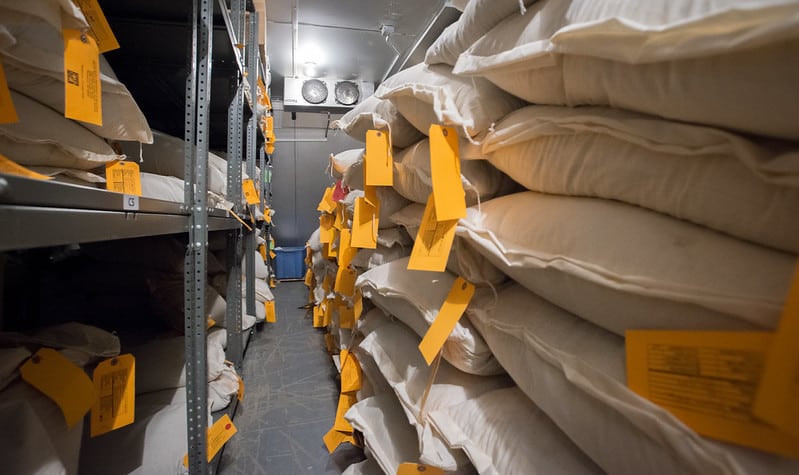 bags of seed with orange tags, stacked on shelves in a cooler