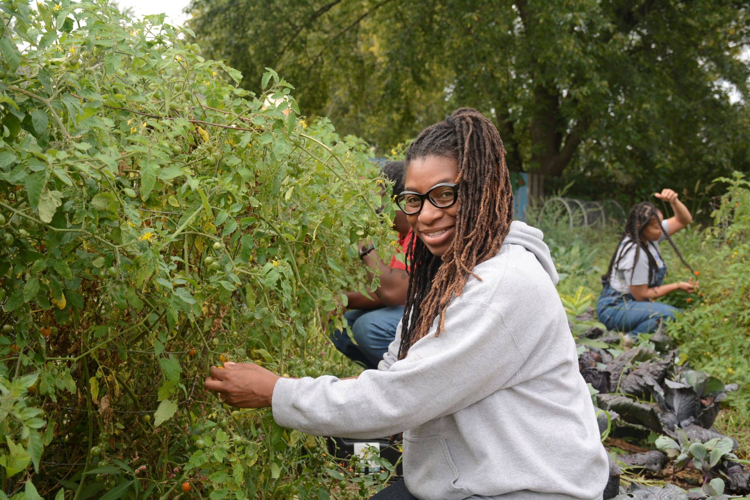 Woman smiling at the camera and picking cherry tomatoes from a vine