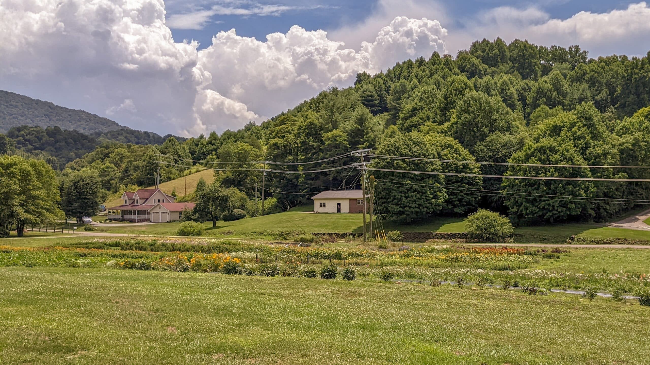 farm landscape with fields, pasture , and house among trees on rolling hills