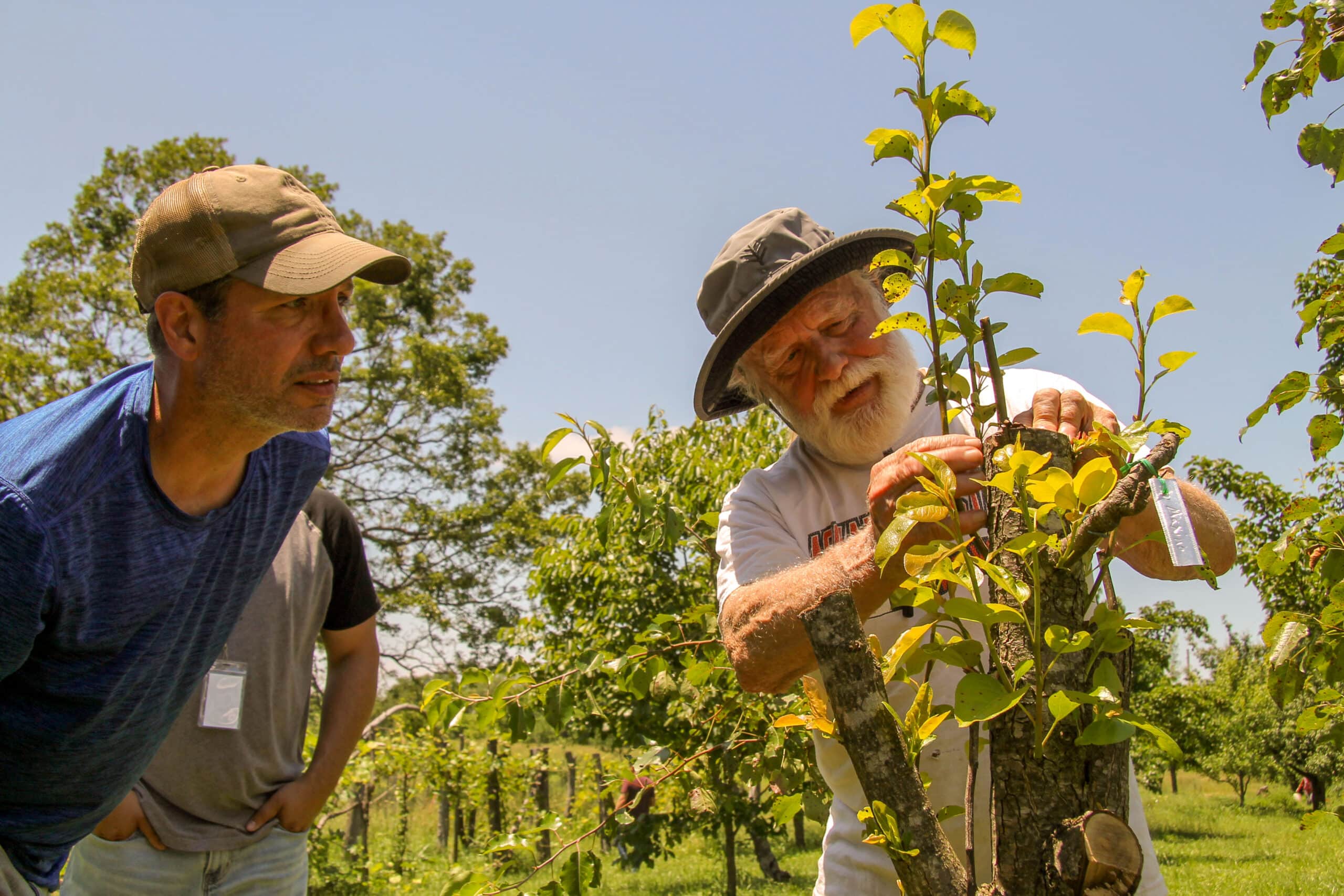 two people stand outdoors, looking at a fruit tree graft