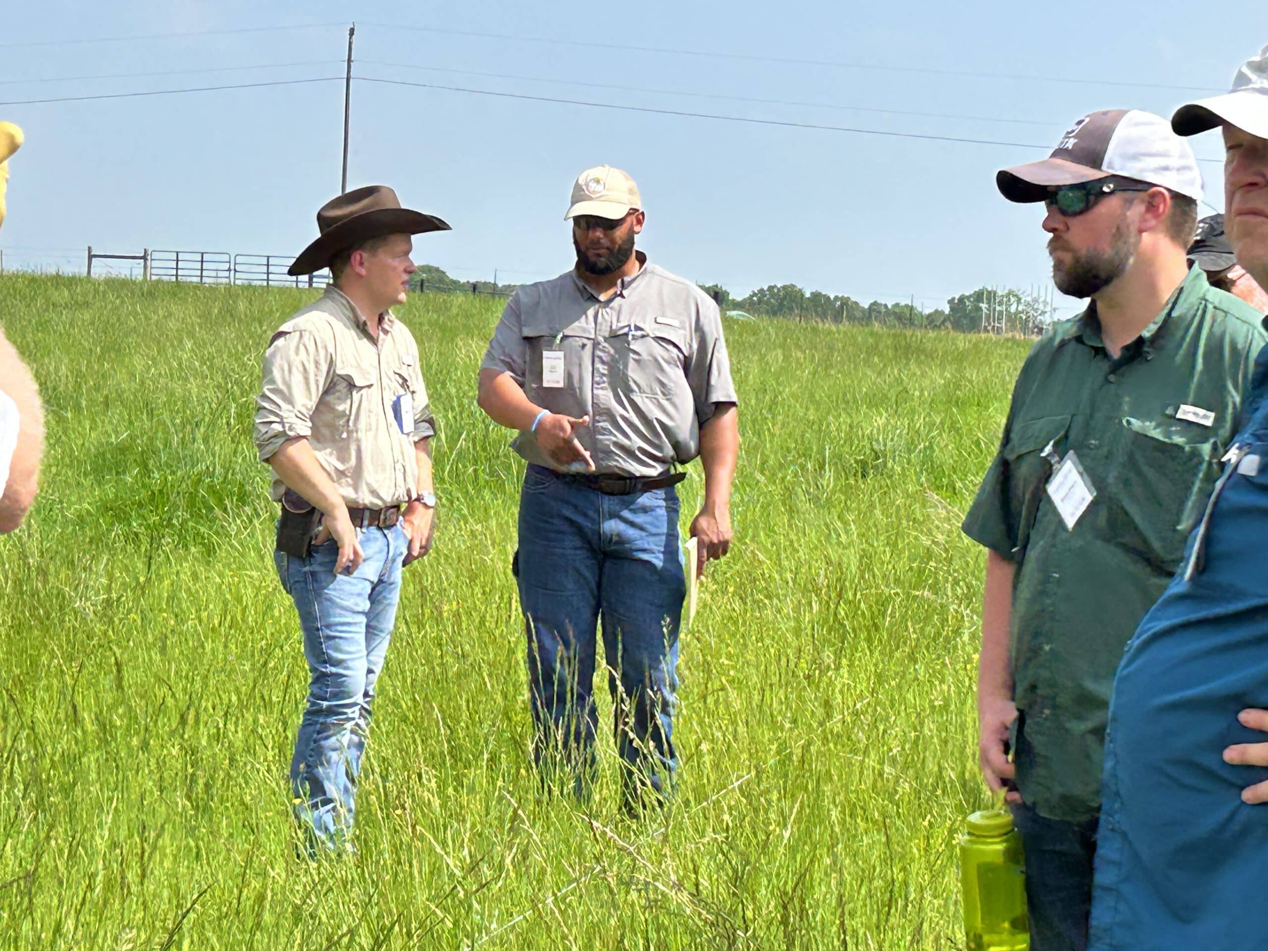 people gather in a field, talking