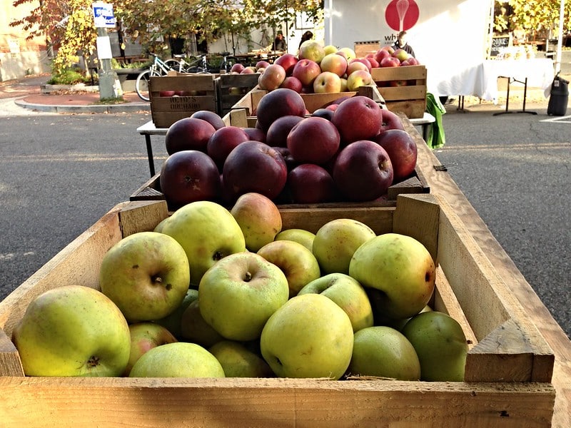 apples sorted into wooden bins lined up outdoors