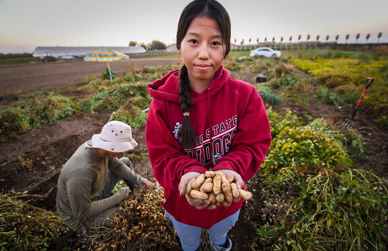 person standing outdoors in field, holding double handful of peanuts