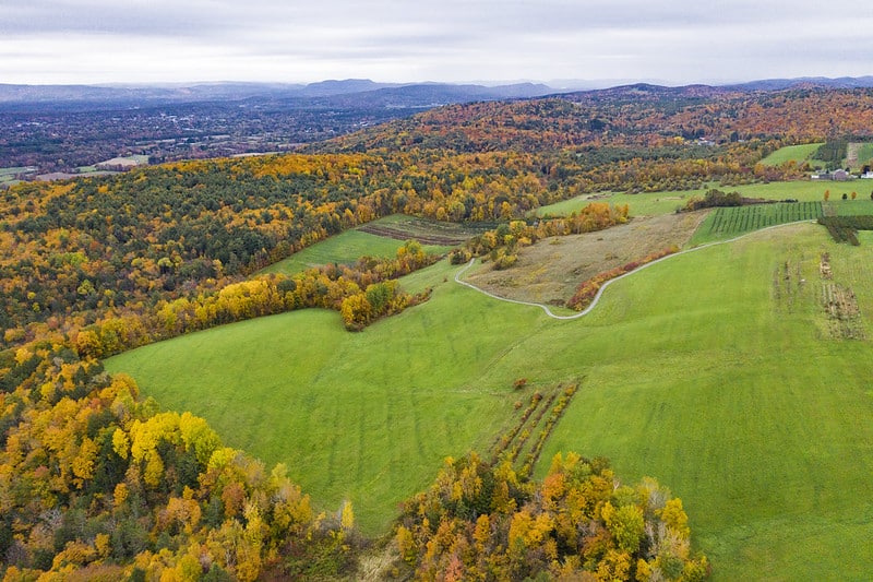 aerial view of green fields and trees with fall foliage