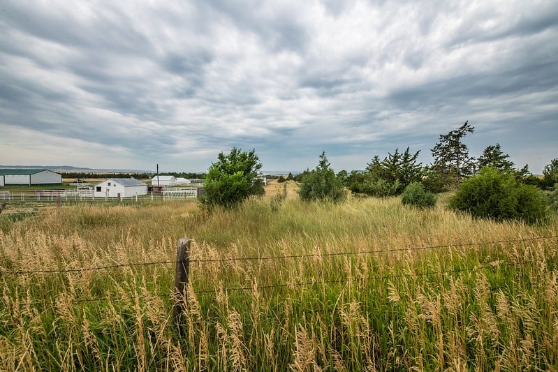 grassland, windbreak, and farmstead under gray sky with clouds