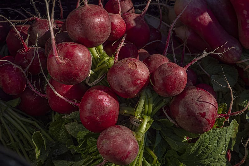 bunch of radishes