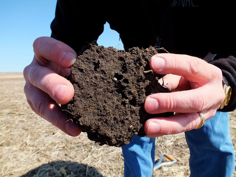 hands holding up piece of soil