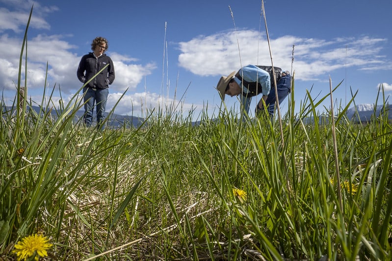 Two people examine pasture condition under blue sky with clouds