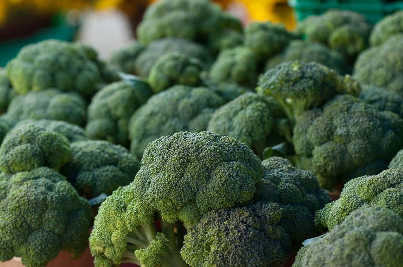 harvested broccoli
