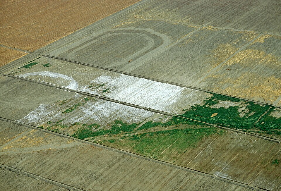 aerial view of fields showing soil salinization