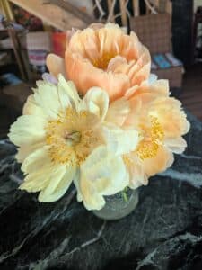 A bouquet of three peachy-colored peonies in a vase.