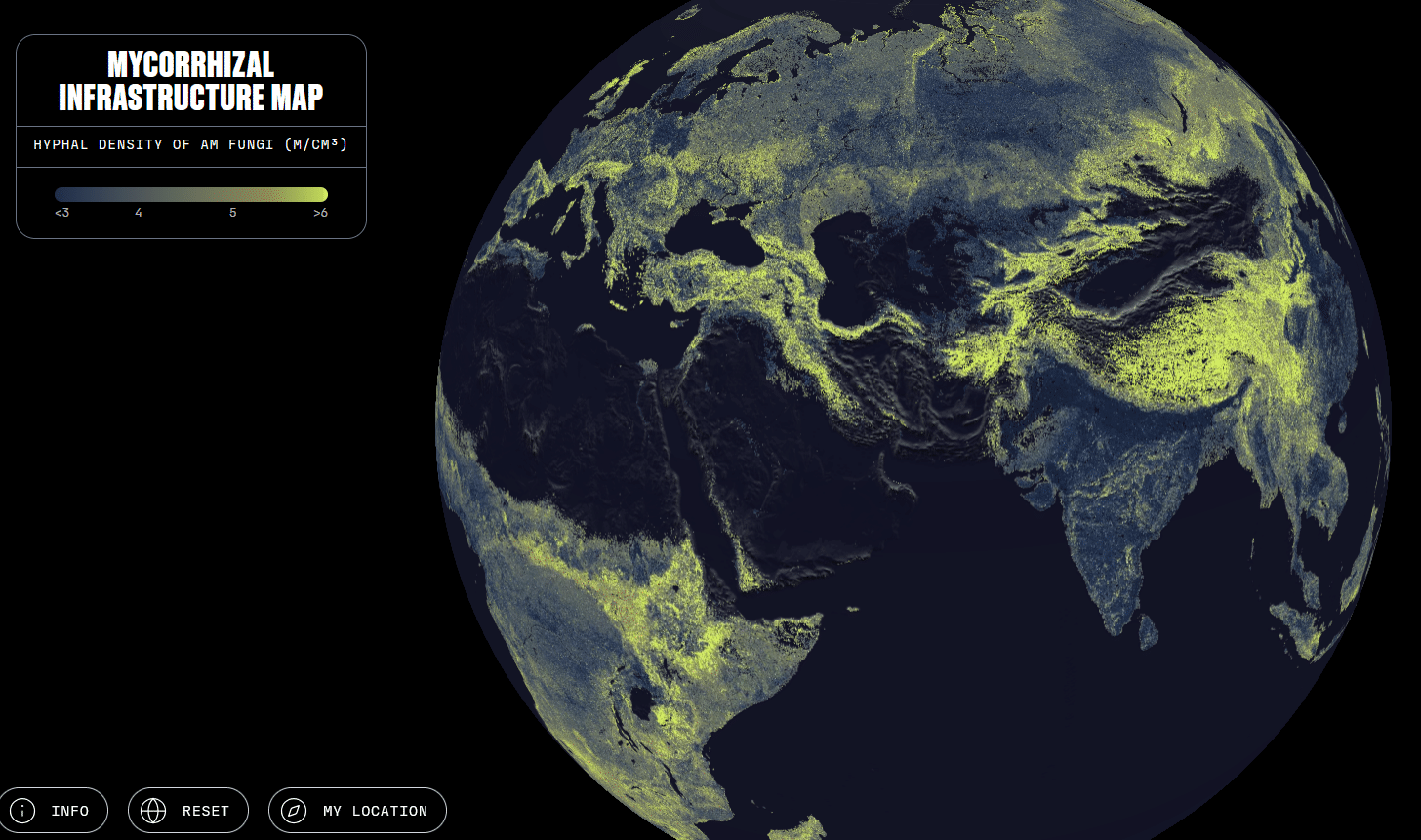 mycorrhizal infrastructure map of earth on dark background