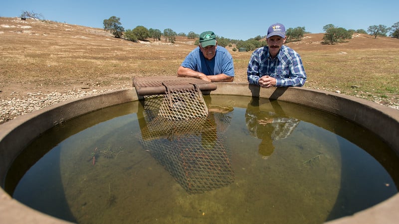 two people lean on the edge of a livestock watering tank in an arid landscape