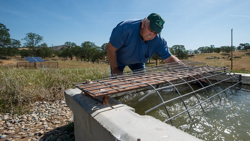 a man leans over a tank full of water, outdoors on rangeland under blue sky.