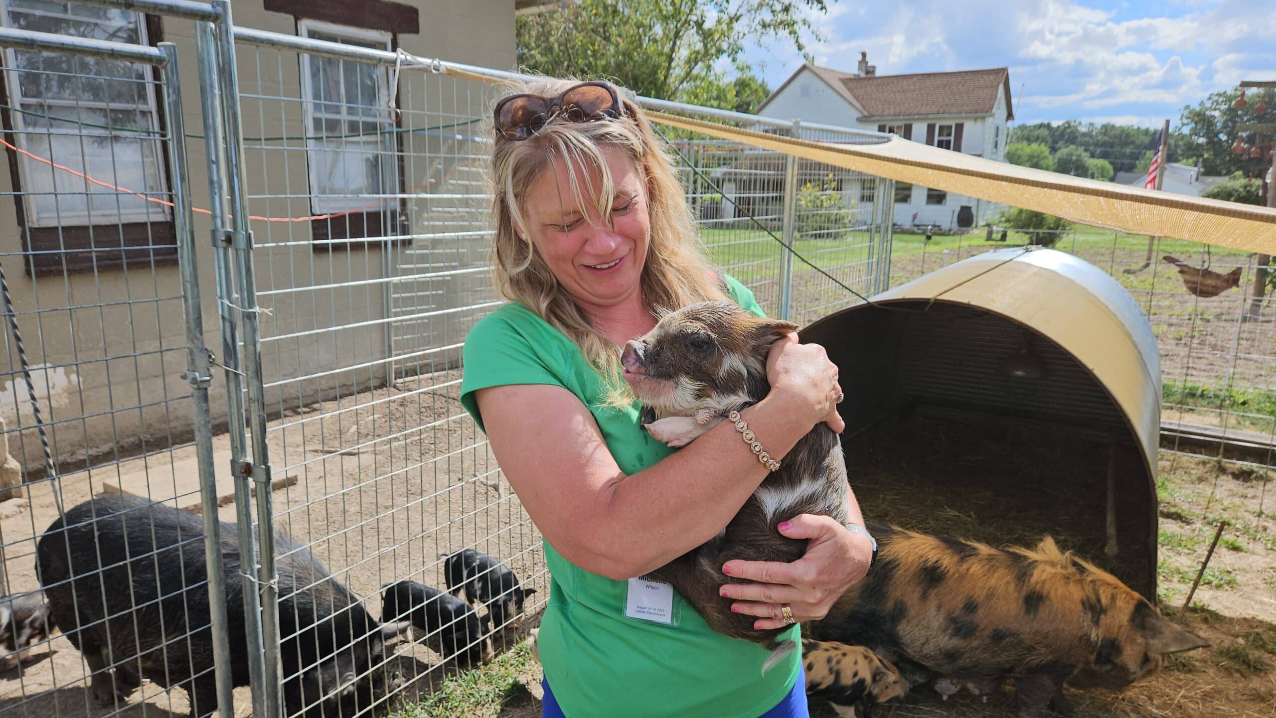 person holding a small piglet in their arms outdoors with pigs and piglets in background