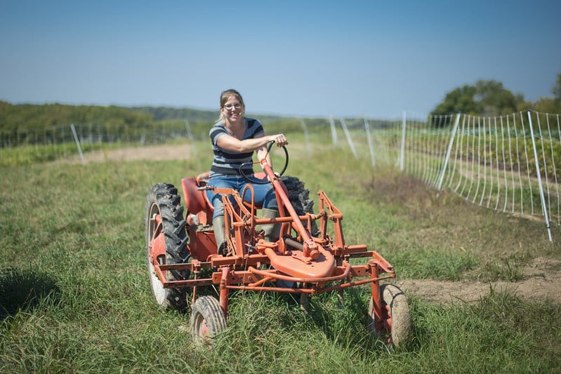 A person drives a small tractor next to electric netting fence